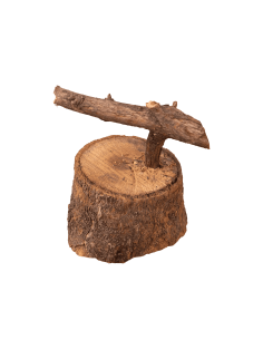 PEANA (PÁJARO DE PITA) | Soul Natura - Imagen 1