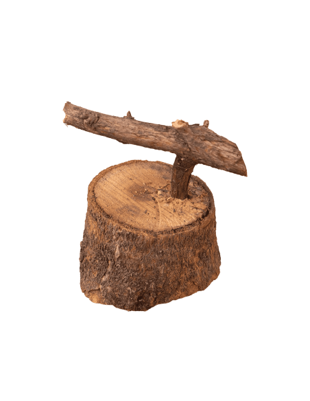 PEANA (PÁJARO DE PITA) | Soul Natura - Imagen 1