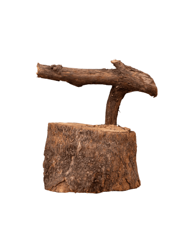 PEANA (PÁJARO DE PITA) | Soul Natura - Imagen 2