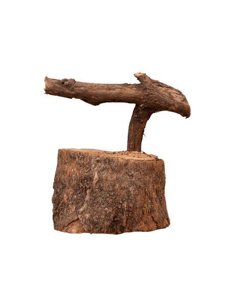 PEANA (PÁJARO DE PITA) | Soul Natura - Imagen 2