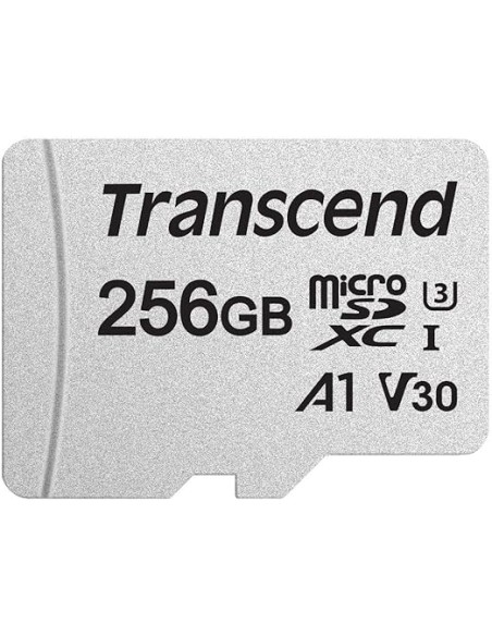 ▷ TARJETA MICRO-SD PROFESIONAL 256GB TRANSCEND | Soul Natura - Imagen 2