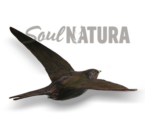 REPLICA VENCEJO PALIDO VOLANDO - Imagen 1