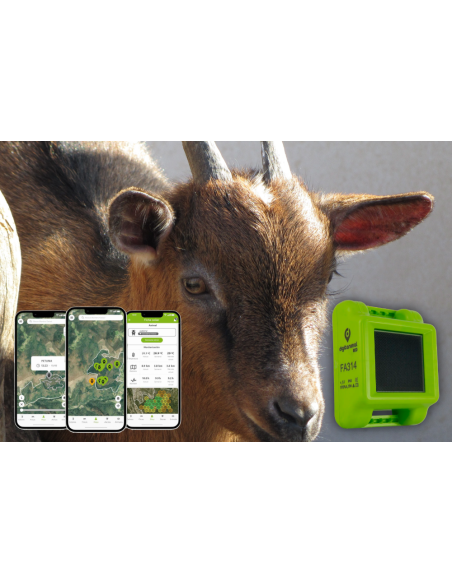 ▷ LOCALIZADOR GPS CON PANEL SOLAR PARA CABRAS ECO | Soul Natura - Imagen 2