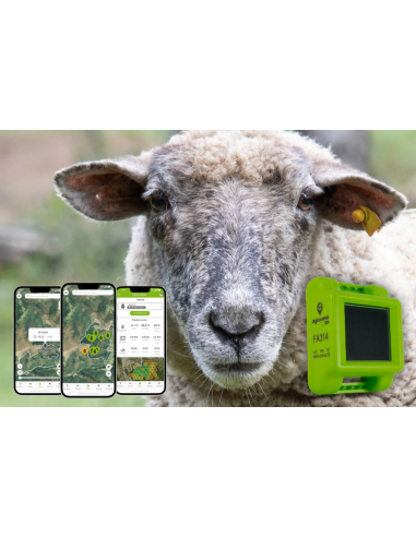 ▷ LOCALIZADOR GPS CON PANEL SOLAR PARA OVEJAS ECO | Soul Natura - Imagen 2