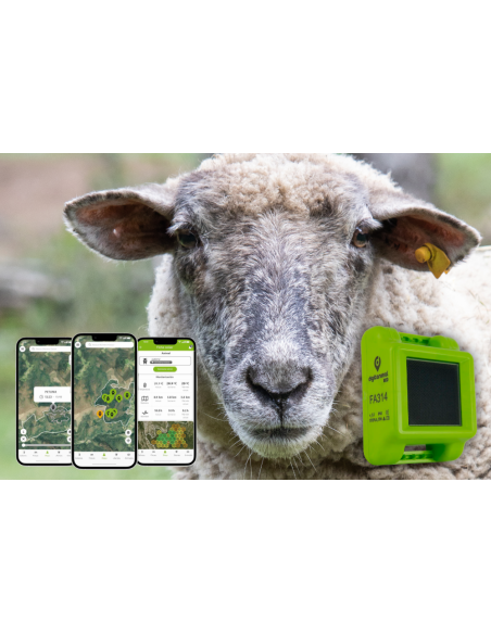 ▷ LOCALIZADOR GPS CON PANEL SOLAR PARA OVEJAS ECO | Soul Natura - Imagen 2
