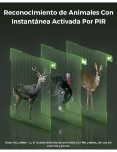 GO RANGER PT Cámara Trampa-Vigilancia REOLINK - Imagen 2