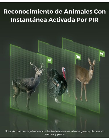 ▷GO RANGER PT Cámara Trampa-Vigilancia REOLINK| Soul Natura - Imagen 1