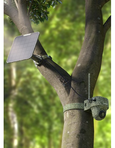 ▷GO RANGER PT Cámara Trampa-Vigilancia REOLINK| Soul Natura - Imagen 4