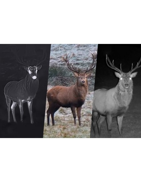 HABROK HH35L 2.0 BINOCULAR TÉRMICO MULTIESPECTRO HIKMICRO - Imagen 8