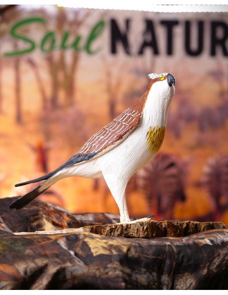 ÁGUILA PESCADORA PEQUEÑA (Pandion haliaetus) - Imagen 4