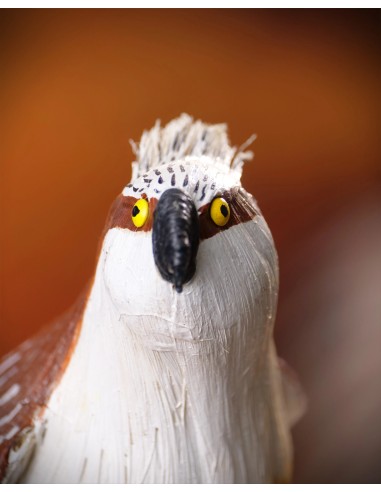 ÁGUILA PESCADORA PEQUEÑA (Pandion haliaetus) - Imagen 5