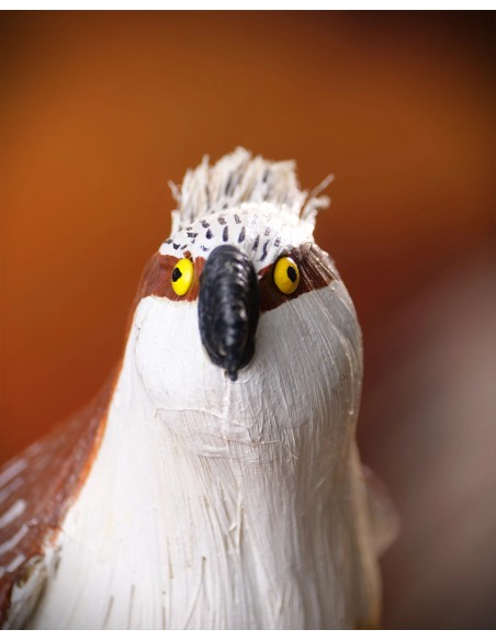 ÁGUILA PESCADORA PEQUEÑA (Pandion haliaetus) - Imagen 5