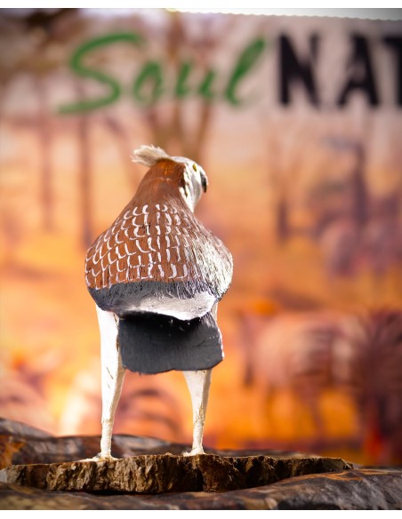 ÁGUILA PESCADORA PEQUEÑA (Pandion haliaetus) - Imagen 6