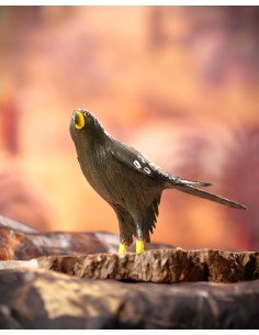 ÁGUILA IMPERIAL PEQUEÑA (Aquila adalberti) - Imagen 2