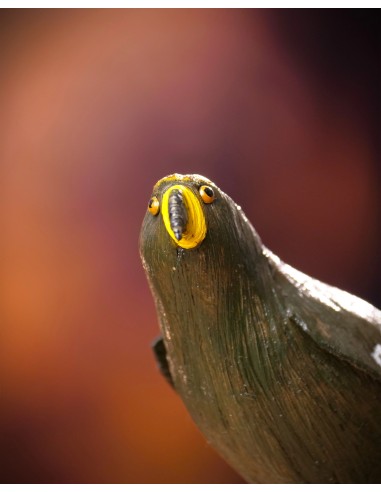 ▷ ÁGUILA IMPERIAL PEQUEÑA (Aquila adalberti) Pájaro de PITA | Soul Natura - Imagen 3