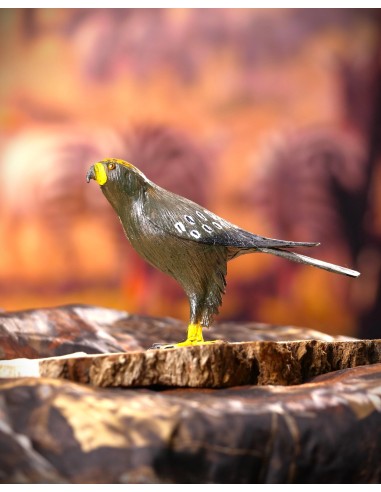 ▷ ÁGUILA IMPERIAL PEQUEÑA (Aquila adalberti) Pájaro de PITA | Soul Natura - Imagen 4