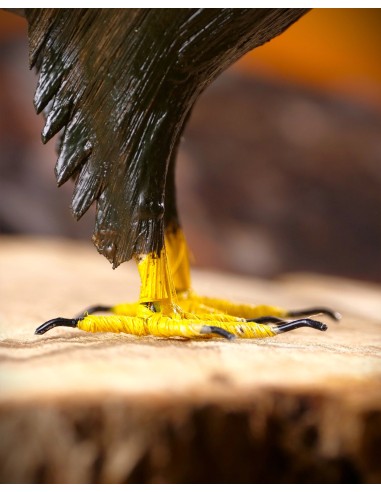 ▷ ÁGUILA IMPERIAL PEQUEÑA (Aquila adalberti) Pájaro de PITA | Soul Natura - Imagen 7