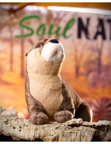 ▷ PELUCHE NUTRIA PEQUEÑA | Soul Natura - Imagen 2