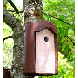 CAJA NIDO 1B PARA PARIDOS - Imagen 2