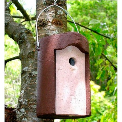 CAJA NIDO 1B PARA PARIDOS - Imagen 2