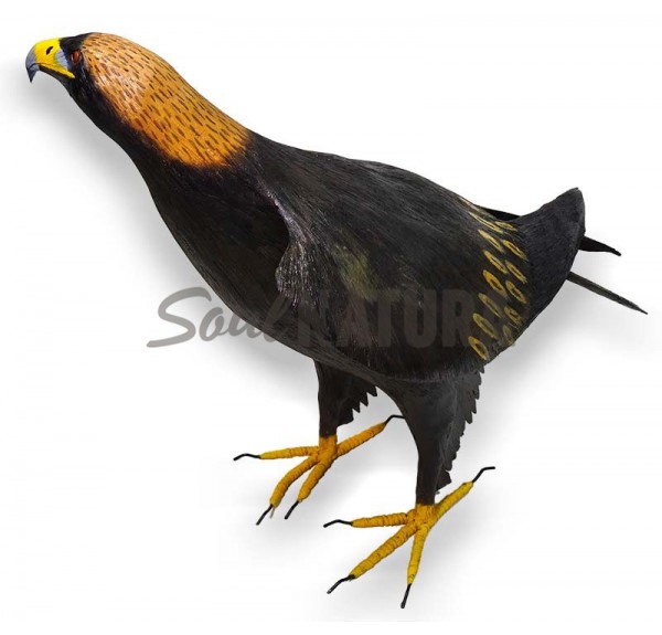 Águila-Real-SoulNatura - Imagen 2