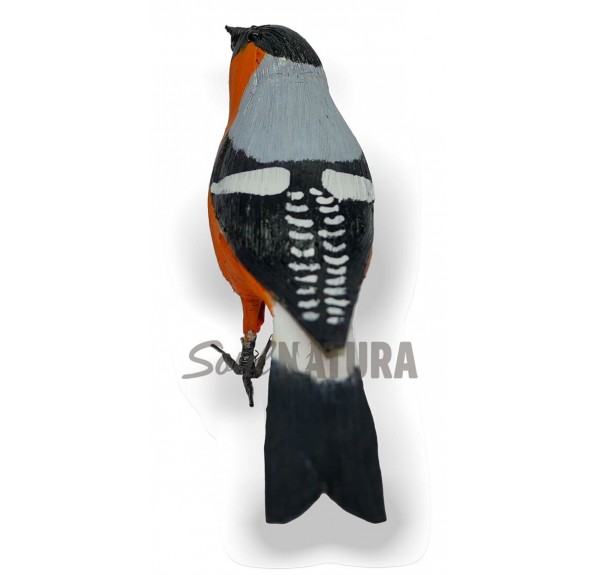 CAMACHUELO - SOUL NATURA - Imagen 2