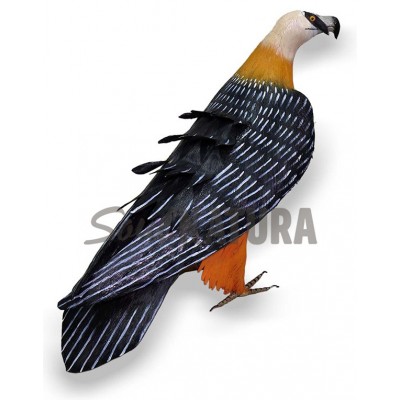 QUEBRANTAHUESOS - SOUL NATURA - Imagen 2