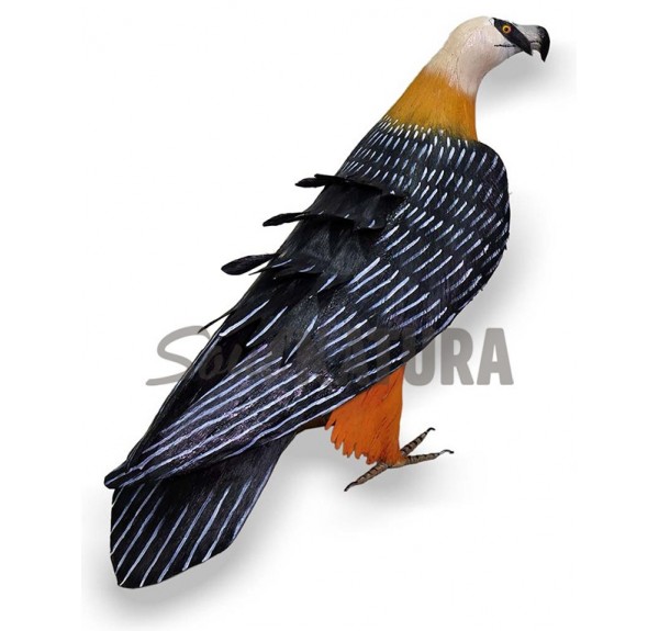 QUEBRANTAHUESOS - SOUL NATURA - Imagen 2