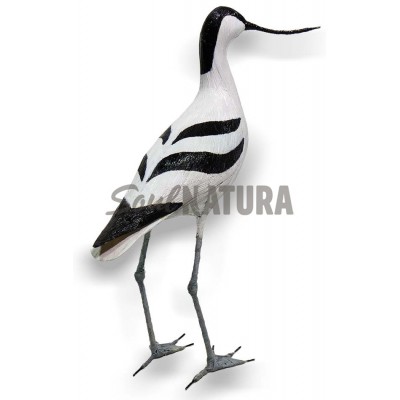AVOCETA SOULNATURA - Imagen 1