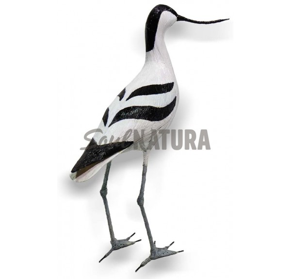 AVOCETA SOULNATURA - Imagen 1