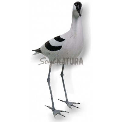 AVOCETA SOULNATURA - Imagen 3