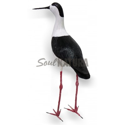 CIGÜEÑUELA (PÁJARO DE PITA) - Imagen 2