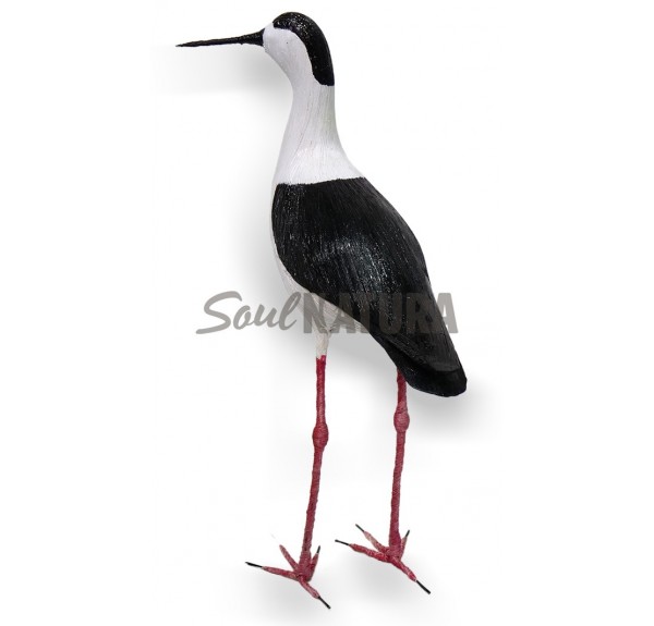 CIGÜEÑUELA (PÁJARO DE PITA) - Imagen 2