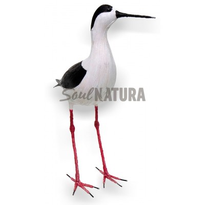 CIGÜEÑUELA (PÁJARO DE PITA) - Imagen 3