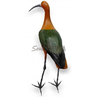 MORITO (PÁJARO DE PITA) - Imagen 3