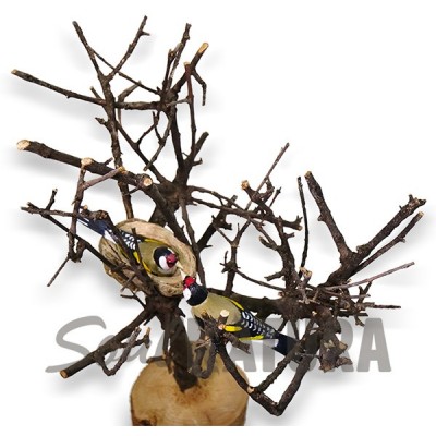 PAREJA JILGUEROS - SOUL NATURA - Imagen 1