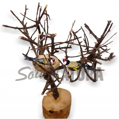 PAREJA JILGUEROS - SOUL NATURA - Imagen 2