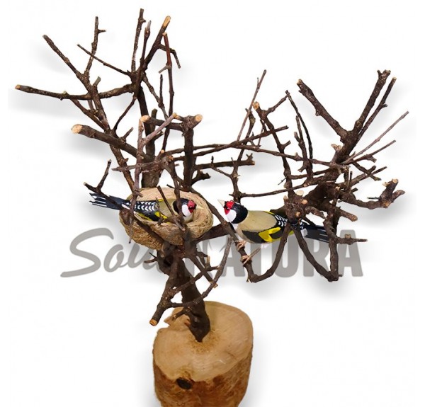 PAREJA JILGUEROS - SOUL NATURA - Imagen 2