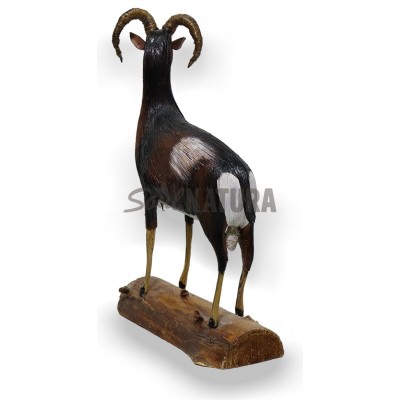 MUFLÓN SOULNATURA - Imagen 2