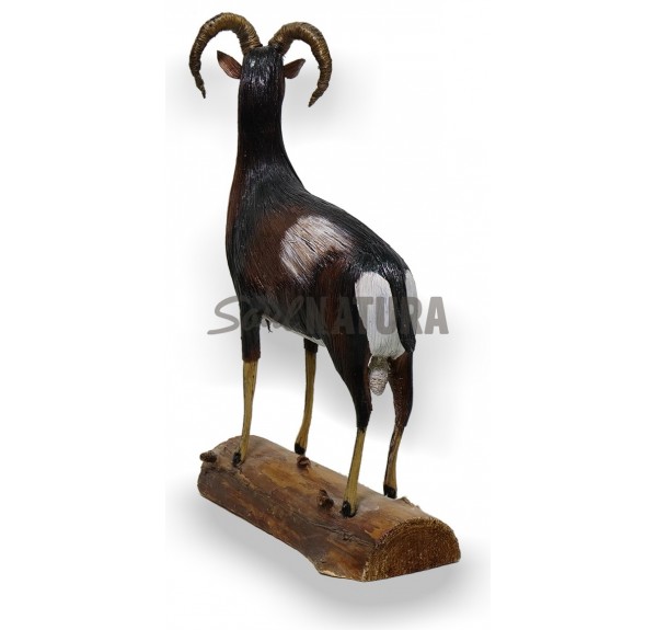 MUFLÓN SOULNATURA - Imagen 2