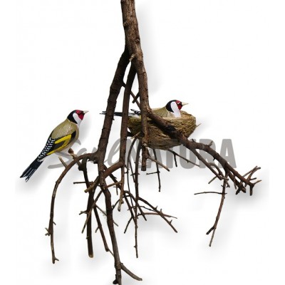 PAREJA DE JILGUEROS Y NIDO - Imagen 2