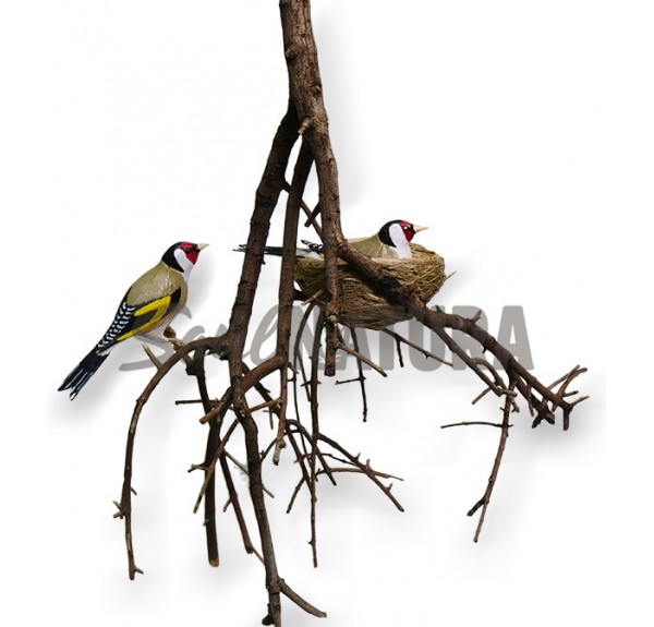 PAREJA DE JILGUEROS Y NIDO - Imagen 2