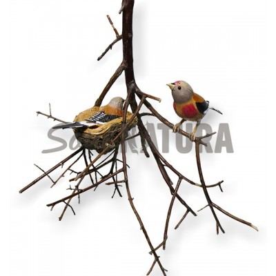 PAREJA DE PARDILLO COMÚN - REPLICA - Imagen 2