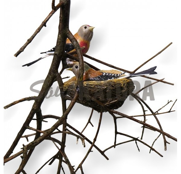 PAREJA DE PARDILLO COMÚN - REPLICA - Imagen 3