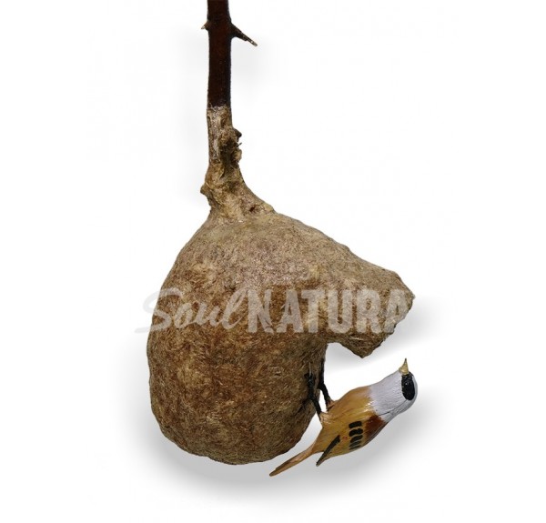 NIDO COLGANTE MOSCÓN (PITA) - Imagen 2