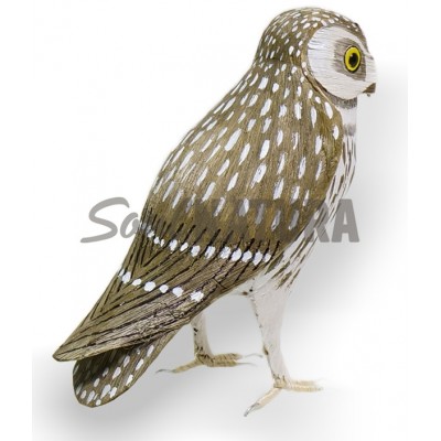 MOCHUELO (PÁJARO DE PITA) - Imagen 3