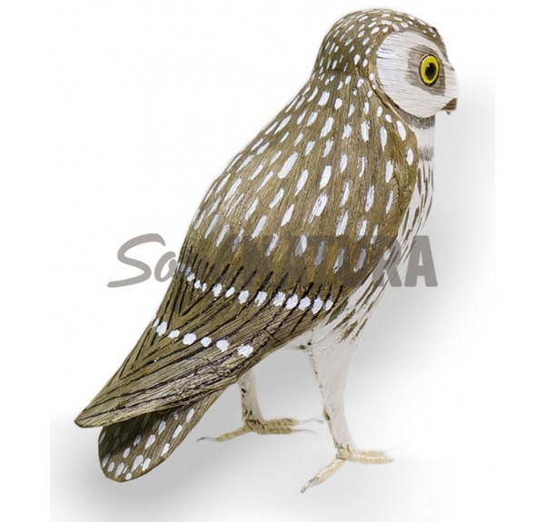 MOCHUELO (PÁJARO DE PITA) - Imagen 3