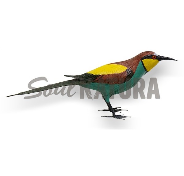 ABEJARUCO SOULNATURA - Imagen 1