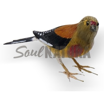 PARDILLO REPLICA - Imagen 4