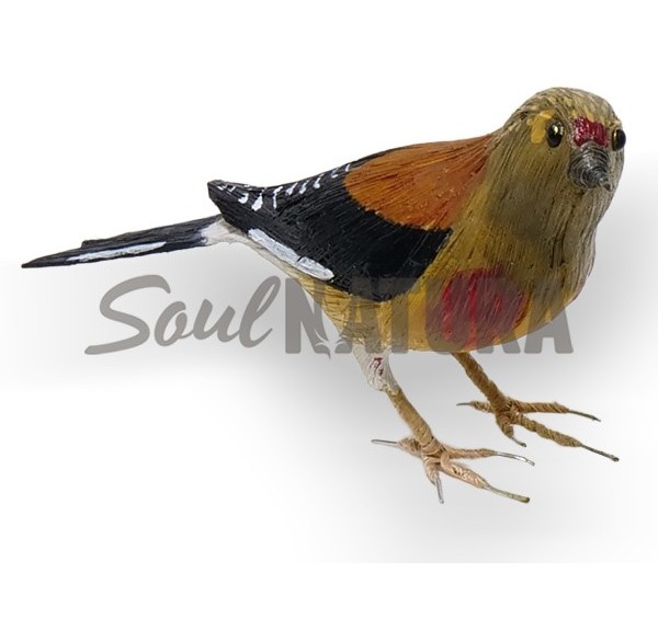 PARDILLO REPLICA - Imagen 4